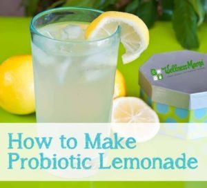 Probiotic Lemonade Recipe