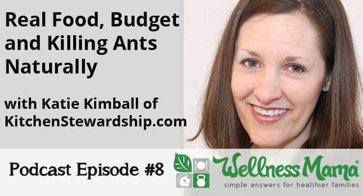 Real Food on a Budget and Killing Ants Naturally