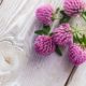 Red Clover Uses and Benefits