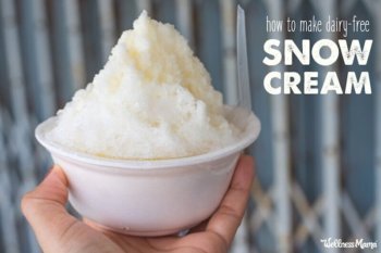 Snow Cream Recipe (Dairy Optional) | Wellness Mama