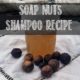 Soap Nuts Shampoo Recipe- easy and natural