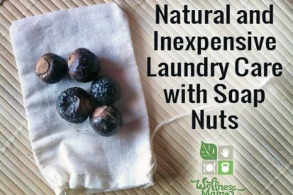 Soap Nuts are a natural and very inexpensive way to clean your laundry without chemicals