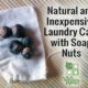 Soap Nuts are a natural and very inexpensive way to clean your laundry without chemicals