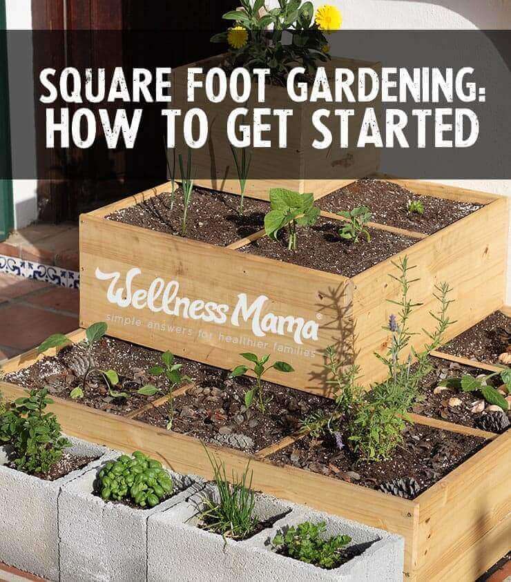 Square foot raised bed gardening-how to get started