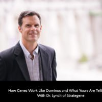 Understanding Genetics vs Epigenetics How Genes Work Like Dominos and What Yours are Telling You with Dr. Lynch of Strategene