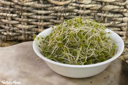 The Benefits of Sprouts and Microgreens
