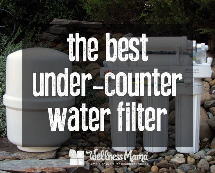 The Best Under-Counter Water Filter - Wellness Mama