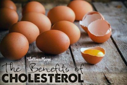 The benefits of cholesterol and why it isn't the enemy