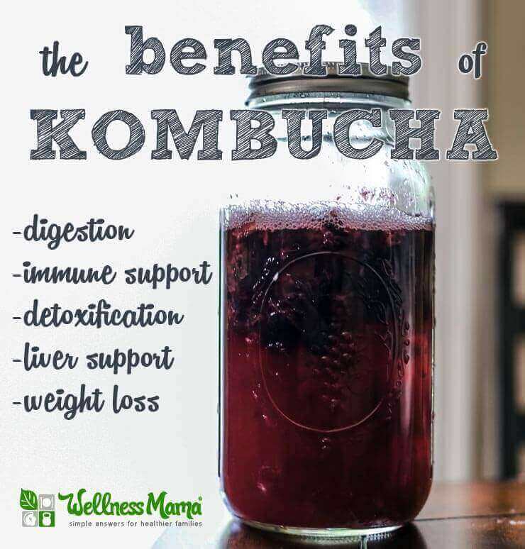 The benefits of kombucha- digestion - immune support-detoxification-weightloss