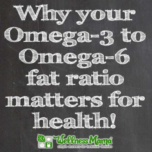 Why Your Omega6 to Omega3 Ratio is Important Wellness Mama