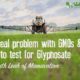 The real problem with GMOs and how to test for phyphosate