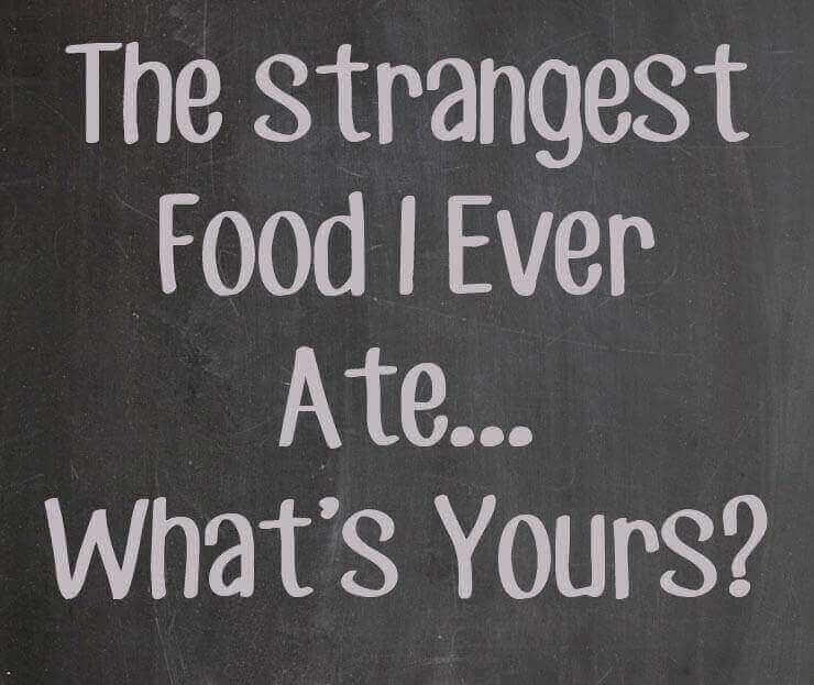The strangest food I ever ate - what is yours