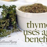 Thyme Uses and Benefits