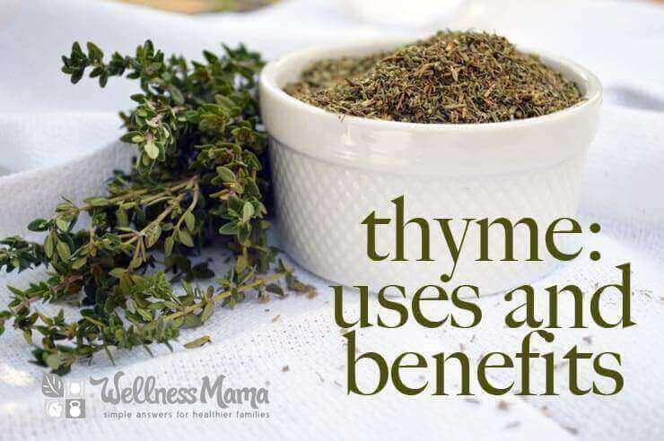 Thyme Uses and Benefits