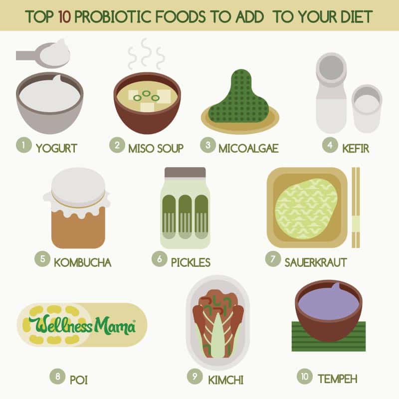 Top Probiotic Foods to Add to Your Diet