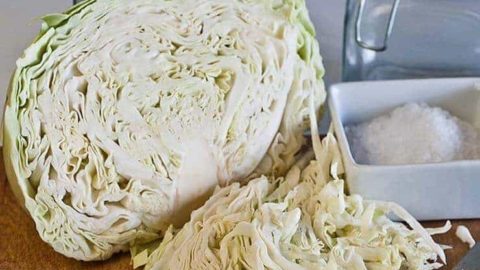 Homemade Sauerkraut Recipe Easy Countertop Method Wellness Mama