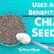 Uses and Benefits of Chia Seeds