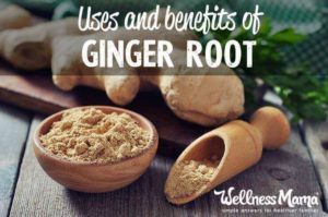 Uses and Benefits of Ginger Root