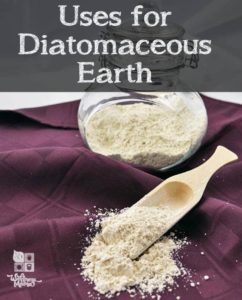 Uses for diatomaceous earth-skin hair and nails-pest control