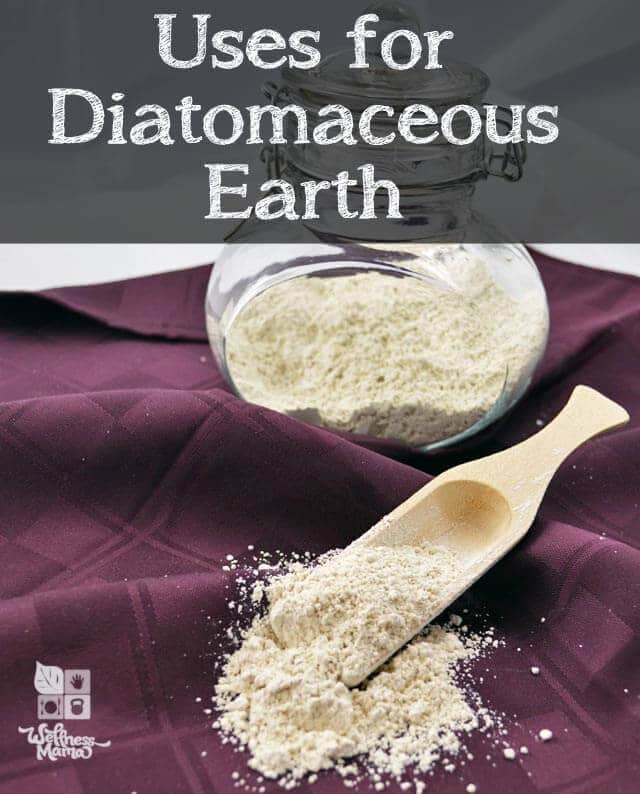 10 Amazing Uses for Diatomaceous Earth in the Home Wellness Mama