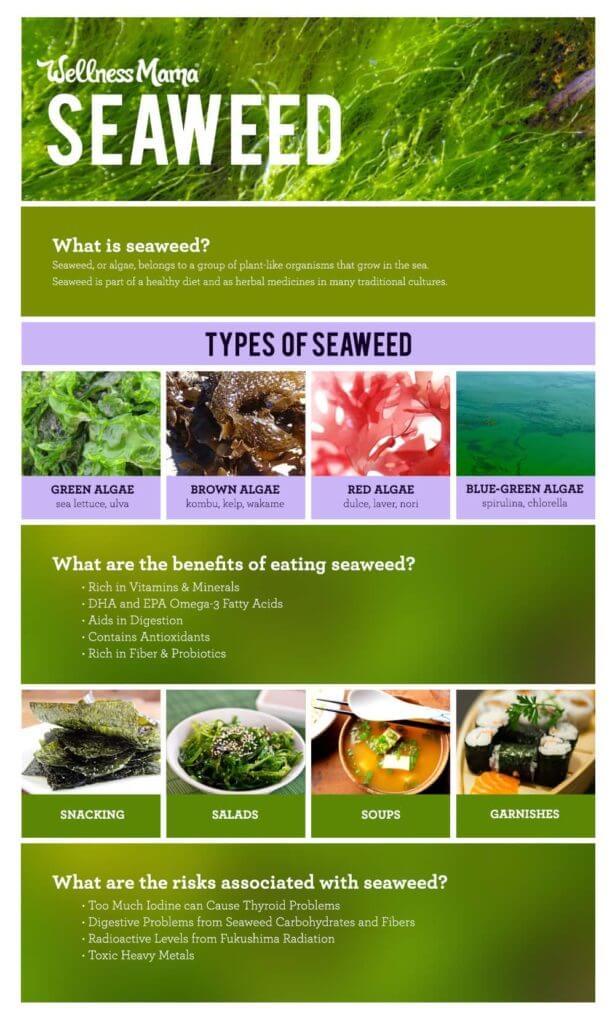 WM Seaweed InfoGraph 615x1024 