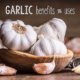 garlic benefits and uses