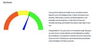 How to Test Your Gut Bacteria (At Home Without a Doctor)