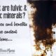 What are fulvic and humic minerals- the uses and benefits of these ancient organisms