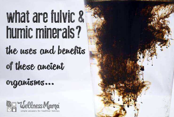 What are fulvic and humic minerals- the uses and benefits of these ancient organisms