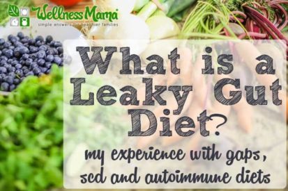 What is a leaky gut diet- gaps-scd-autoimmune diets