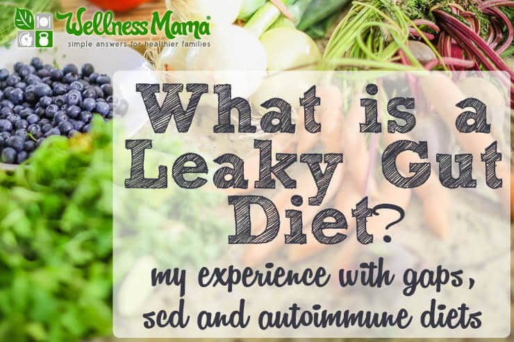 What is a leaky gut diet- gaps-scd-autoimmune diets
