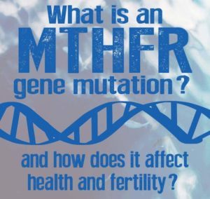 What is an MTHFR Gene Mutation? | Wellness Mama