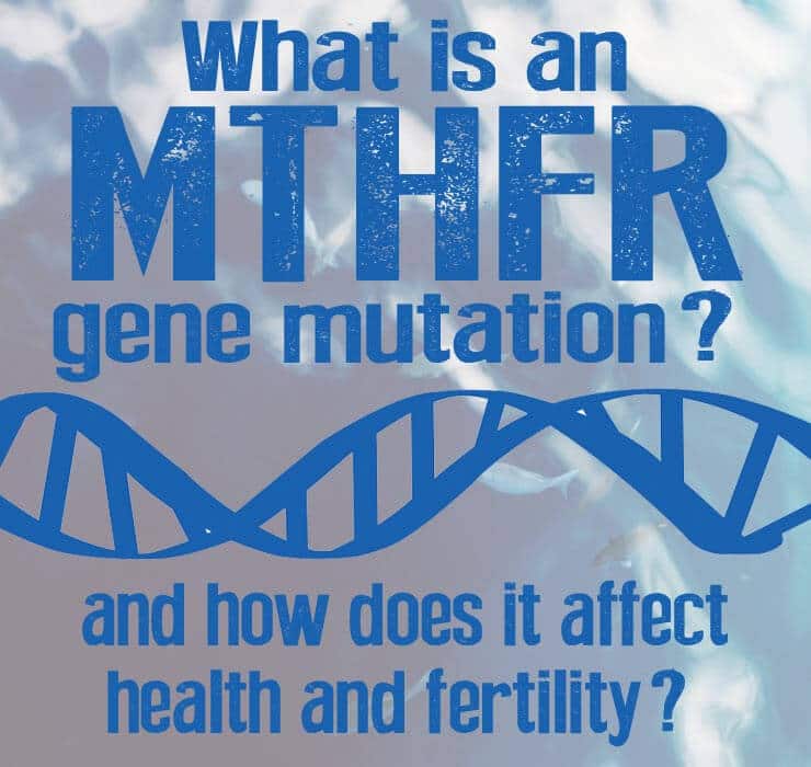What is an MTHFR gene mutation