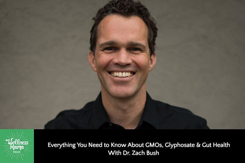 Everything You Need to Know About GMOs, Glyphosate and Gut Health with Dr. Zach Bush