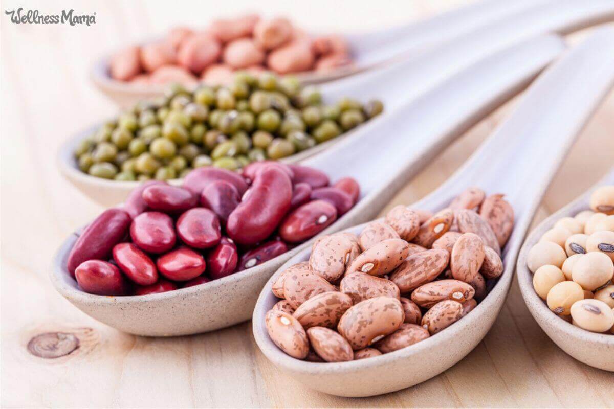 Spill the Beans: Are They Healthy Or Not?