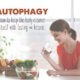 how to get into autophagy