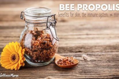 benefits and uses for bee propolis