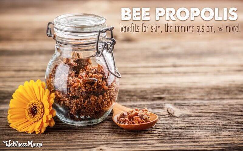 benefits and uses for bee propolis