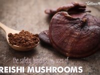 reishi mushroom benefits uses safe