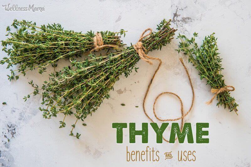 Benefits and uses of thyme