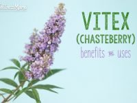 Benefits and uses of Vitex (chasteberry)
