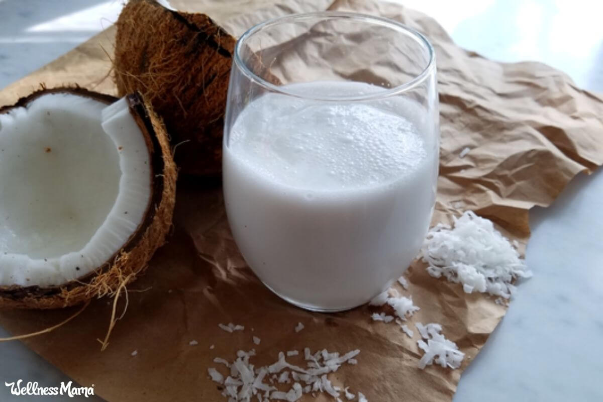 Homemade Coconut Milk Recipe | Wellness Mama