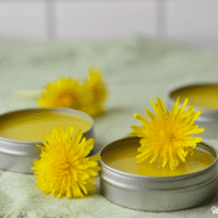dandelion salve