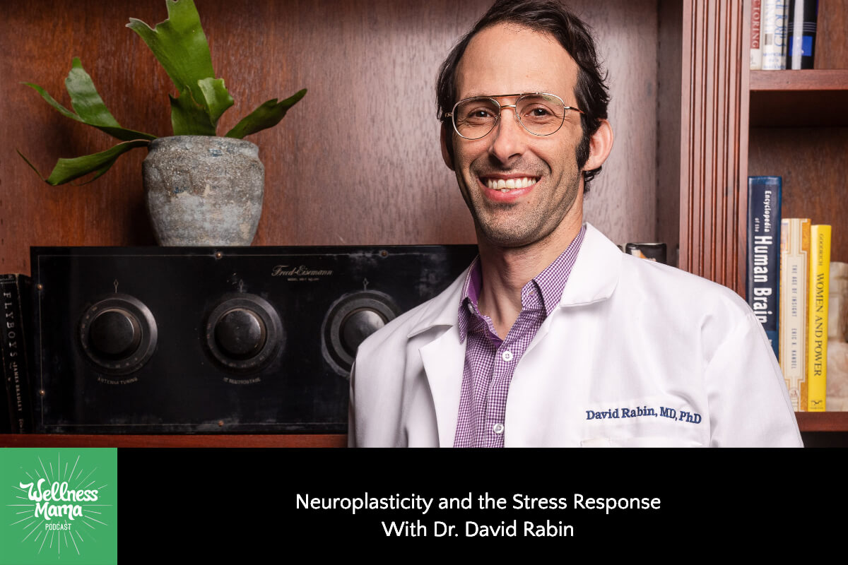 737: Neuroplasticity and the Stress Response With Dr. David Rabin