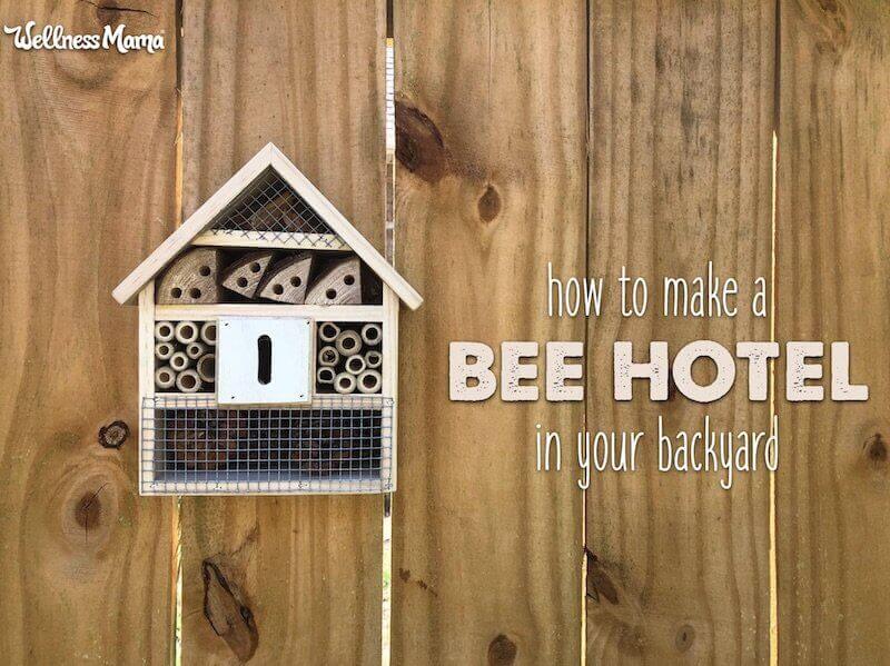How to make a bee hotel for your backyard