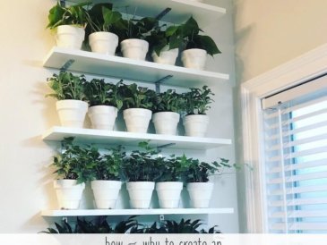 how to hang plants on wall inside