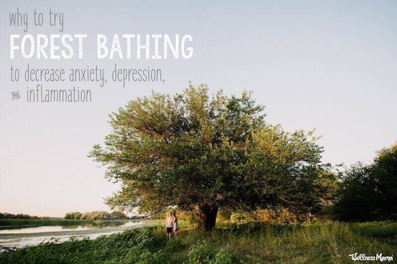 forest bathing book