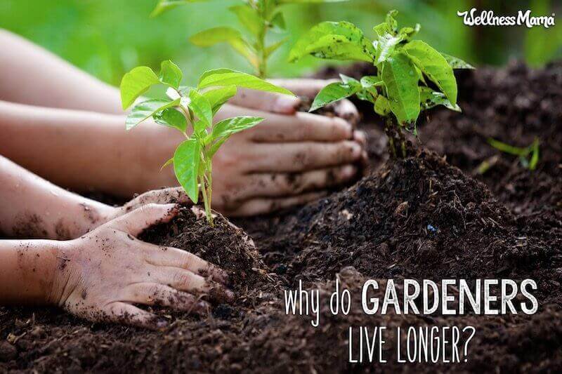 Why do gardeners live longer?
