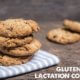 Gluten free lactation cookie recipe