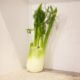 how to eat fennel
